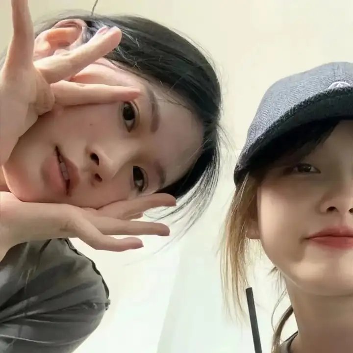 我是海鸥